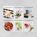 Pre-Order: Set: Issues No. 5, 6, 7, 8, 9, and 10